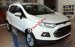 Bán ô tô Ford EcoSport Titatium đời 2017, mầu trắng, LH 0933523838