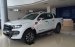 An Đô Ford - bán Ford Ranger Wildtrak nhập khẩu nguyên chiếc giá tốt, khuyến mãi lớn, LH: 0987 987 588