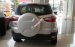 Ford Ecosport Titanium AT màu bạc giá tốt, đại lý bán Ford Ecosport đủ màu, giao ngay