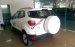 Cần bán Ford EcoSport Trend 1.5MT model 2017, giá chỉ 500 triệu, tặng gói Combo 10 triệu phụ kiện