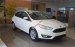 Bán Ford Focus 1.5 Ecoboost 2017 giá tốt nhất tặng BHVC, ghế da, dán phim - LH: 0909 850 255