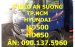 TP. HCM Thaco Hyundai HD500 5 tấn, thùng kín, màu xanh, sản xuất mới