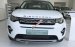 Discovery Sport 5+2 chỗ để được ưu đãi tốt nhất - Xem & lái thử vui lòng liên hệ 0908170330