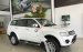 [Đặc biệt] Giảm 100 triệu khi mua xe Pajero Sport đời 2017 chỉ 750 triệu, cho vay 85%. LH: 0905.91.01.99 Phú