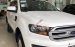Bán Ford Everest 4x4 MT sản xuất 2017, màu trắng, nhập khẩu