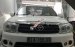 Cần bán Toyota Fortuner TRD Sportivo đời 2011, màu trắng