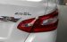 Bán Nissan Teana 2.5 SL trắng, xe nhập Mỹ, giảm giá 200tr, xe giao ngay