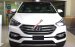 Bán Hyundai Santa Fe 2.4 AT 2018 máy xăng tiêu chuẩn, hỗ trợ vay 85% giá trị xe, hotline đặt xe: 0948.94.55.99 - 0935.90.41