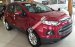 Lý do xe Ford Ecosport lăn bánh trên mọi nẻo đường