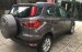 Ford Tây Ninh, cần bán xe Ford Ecosport 2018 màu nâu hổ phách, hỗ trợ mua trả góp, lãi suất 0.6%