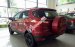 Lý do xe Ford Ecosport lăn bánh trên mọi nẻo đường