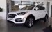 Bán xe Hyundai Santa Fe sản xuất 2017, màu trắng giá tốt - LH: 0939593770