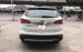 Bán Hyundai Santa Fe 2.4AT đời 2014, màu trắng, xe nhập, giá 860tr