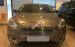 Bán Ford Focus 1.5L Ecoboost đời 2016, màu xám, giá 700tr
