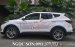 Bán ô tô Hyundai Santa Fe giảm sốc, màu trắng, trả góp 90% xe, liên hệ Ngọc Sơn: 0911.377.773