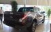 Ford Hà Giang bán xe Ford Ranger Wildtrak 2 cầu số tự động trả góp tại Hà Giang thủ tục nhanh gọn. LH: 0902212698