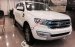 Hot! Ford Everest đời 2017, hỗ trợ vay đến 85% giá trị xe, liên hệ hotline: 093.309.17.13