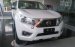 Nissan Navara 2.5EL Premium 2018 nhập khẩu chính hãng. LH 0985411427