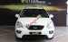 Bán Kia Carens SX 2.0AT 2012, màu trắng
