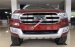 Bán ô tô Ford Everest 2.2L 4x2 Titanium AT mới 100%, hỗ trợ trả góp, giá cả thương lượng