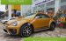 Bán Volkswagen Beetle Dune huyền thoại, mầu vàng duy nhất mới về VN