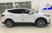 Hyundai Santafe 2.2 AT KM lên đến 230tr, hỗ trợ vay 85% giá trị - Hotline 0935.90.41.41 - 0948.94.55.99