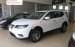 Bán xe Nissan X-trail 2.0 cao cấp SL Premium L - Giá hấp dẫn