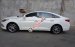 Cần bán gấp Hyundai Sonata 2.0 đời 2015, màu trắng, giá chỉ 765 triệu