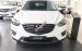 Bán ô tô Mazda CX 5 2.5WD - đầu tư 160tr sở hữu xe ngay