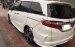Lên sóng em Honda Odyssey 2.4AT 2016 màu trắng