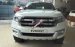 Bán Ford Everest Trend đời 2017, xe giao ngay, Toản: 0947414444