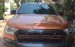 Cần bán Ford Ranger Wildtrack đời 2017, nhập khẩu