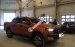 Cần bán lại xe Ford Ranger Wildtrack năm 2016, giá 719tr