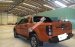 Cần bán lại xe Ford Ranger Wildtrack năm 2016, giá 719tr