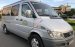 Bán Sprinter 313 ĐK 2013 16 chỗ, màu bạc. Xe nhà chùa xài kĩ không chạy kinh doanh