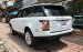 Bán LandRover Range Rover HSE 3.0 model 2019, màu trắng, nhập khẩu Mỹ  
