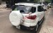 Bán Ford EcoSport Titanium AT sản xuất năm 2016, màu trắng 