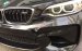 Bán BMW M2 đời 2017, màu đen, nhập khẩu