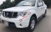 Cần bán xe Nissan Navara 2.5 LE đời 2013, màu trắng chính chủ, giá tốt