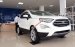 Bán Ford EcoSport Trend AT sản xuất năm 2018, màu trắng, giá chỉ từ 570 triệu