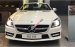 Bán Mercedes Benz SLK 350 đời 2017 - Giá đặc biệt - Nhiều ưu đãi