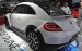 Cần bán xe Volkswagen New Beetle 2018, màu trắng, nhập khẩu nguyên chiếc