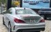 Xe Cũ Mercedes-Benz CLA 250 4 Matic 2017