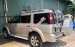 Cần bán Ford Everest 4x2 AT 2009, màu bạc
