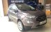 Đại Lý Ford chính hãng bán Ecosport bản thường giá phải chăng, giao xe tại Hòa Bình, LH 0941921742