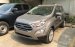 Đại Lý Ford chính hãng bán Ecosport bản thường giá phải chăng, giao xe tại Hòa Bình, LH 0941921742