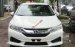 Cần bán xe Honda City 1.5 MT đời 2015, màu trắng