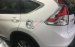 Bán ô tô Honda CR V năm 2013 màu trắng, giá 745 triệu