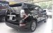 Cần bán xe Lexus GX 460, màu đen, xe nhập