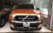 Bán Ford Ranger Wildtrak 2.2L 4x4 AT sản xuất năm 2017, màu nâu 